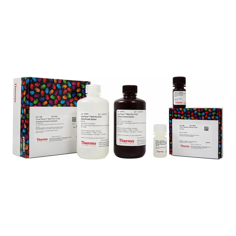 Thermo Fisher Scientific SuperSignal Western Blot Substrate Bundle, Pico PLUS + trial-size Atto