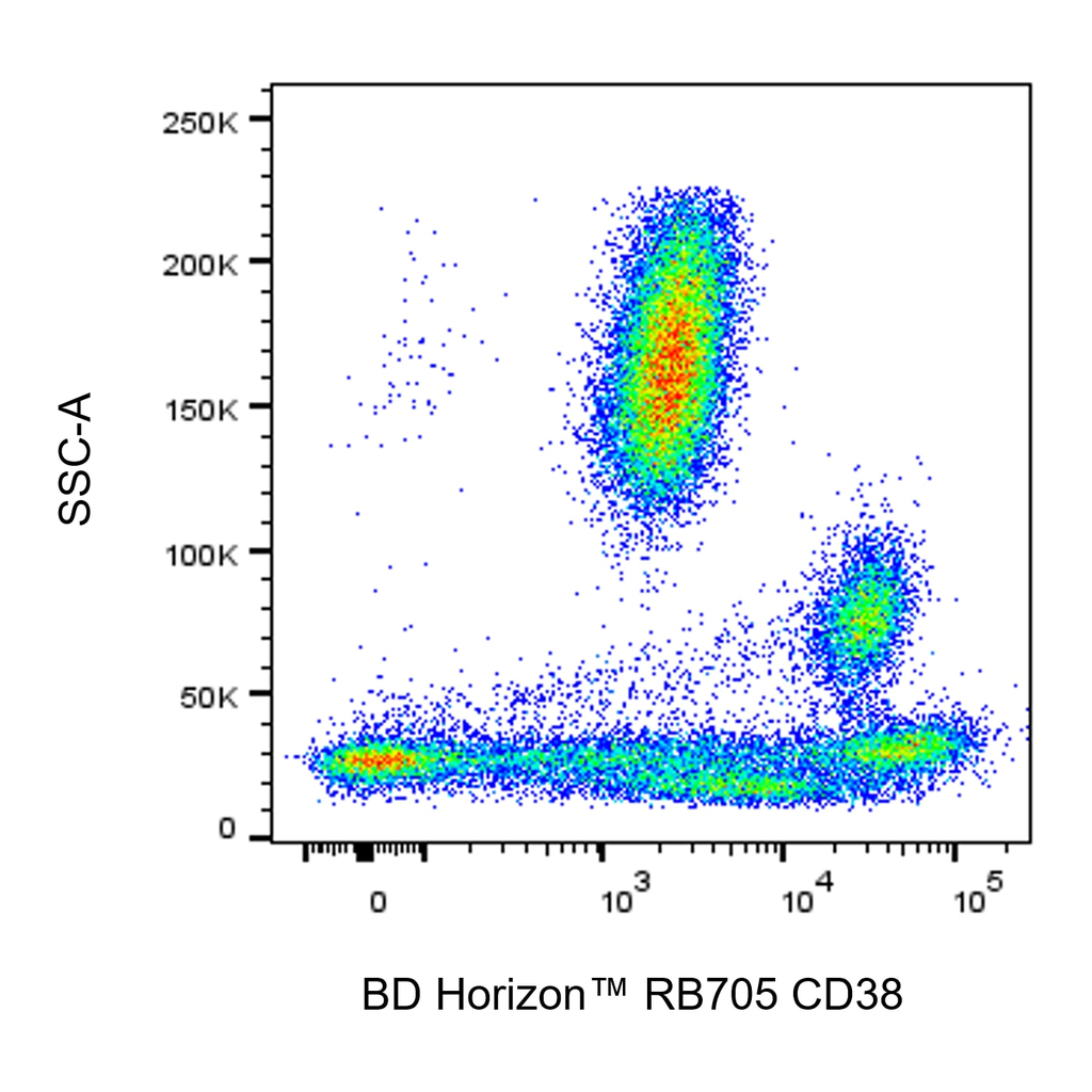 BD RB705 Mouse Anti-Human CD38