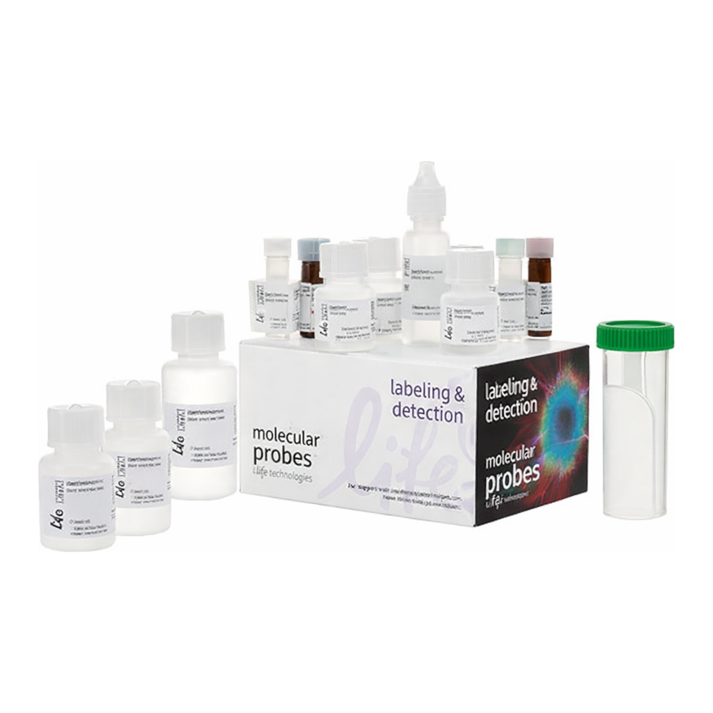 Thermo Fisher Scientific Click-iT EdU Colorimetric IHC Detection Kit