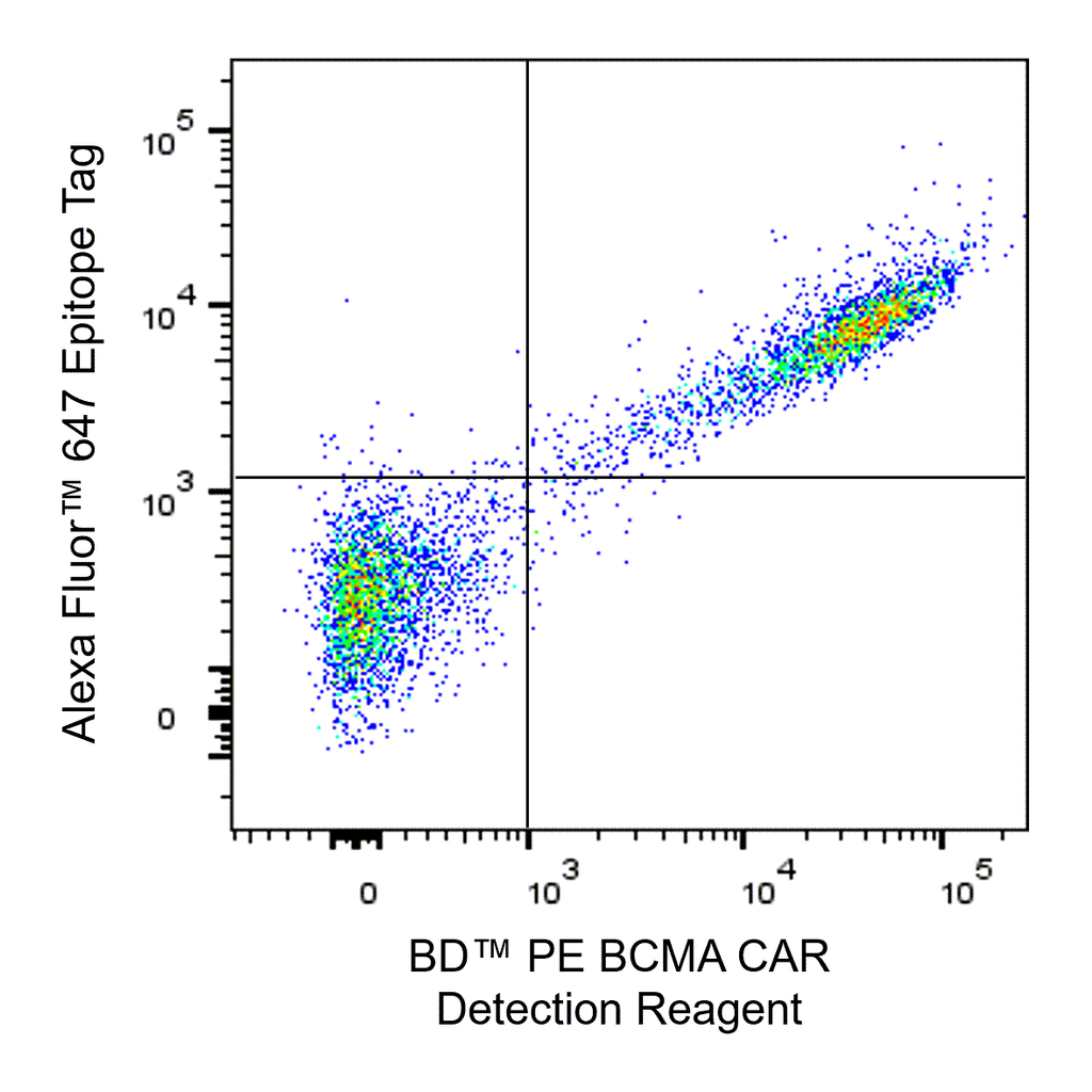 BD PE BCMA CAR Detection Reagent