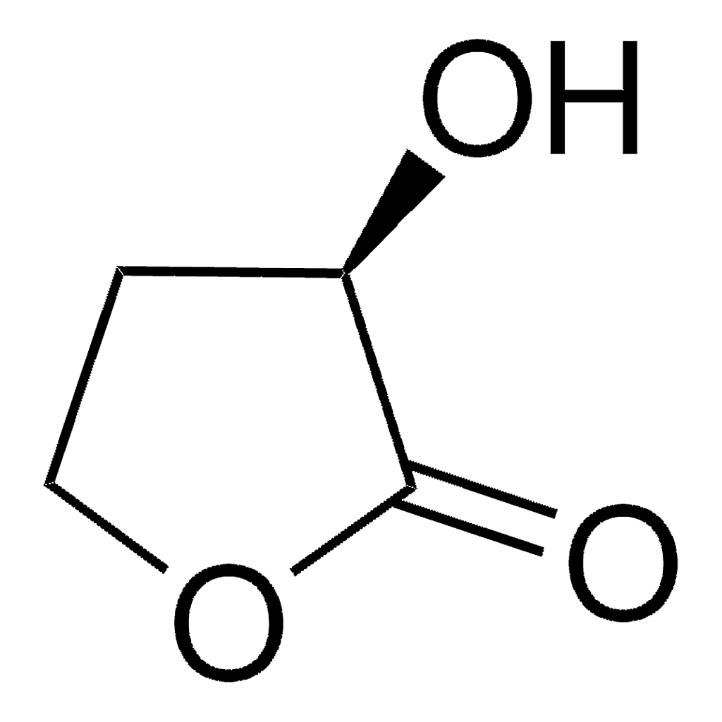 Merck (R)-(+)-alpha-Hydroxy-gamma-butyrolactone