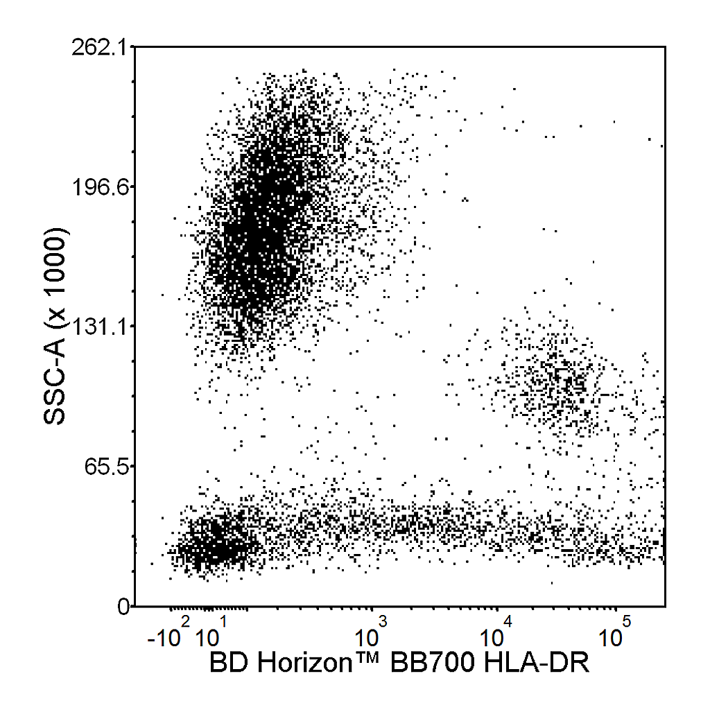 BD BB700 Mouse Anti-Human HLA-DR
