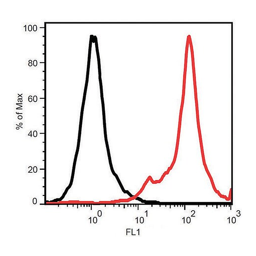 Merck Monoclonal Anti-STRO-1 antibody produced in mouse