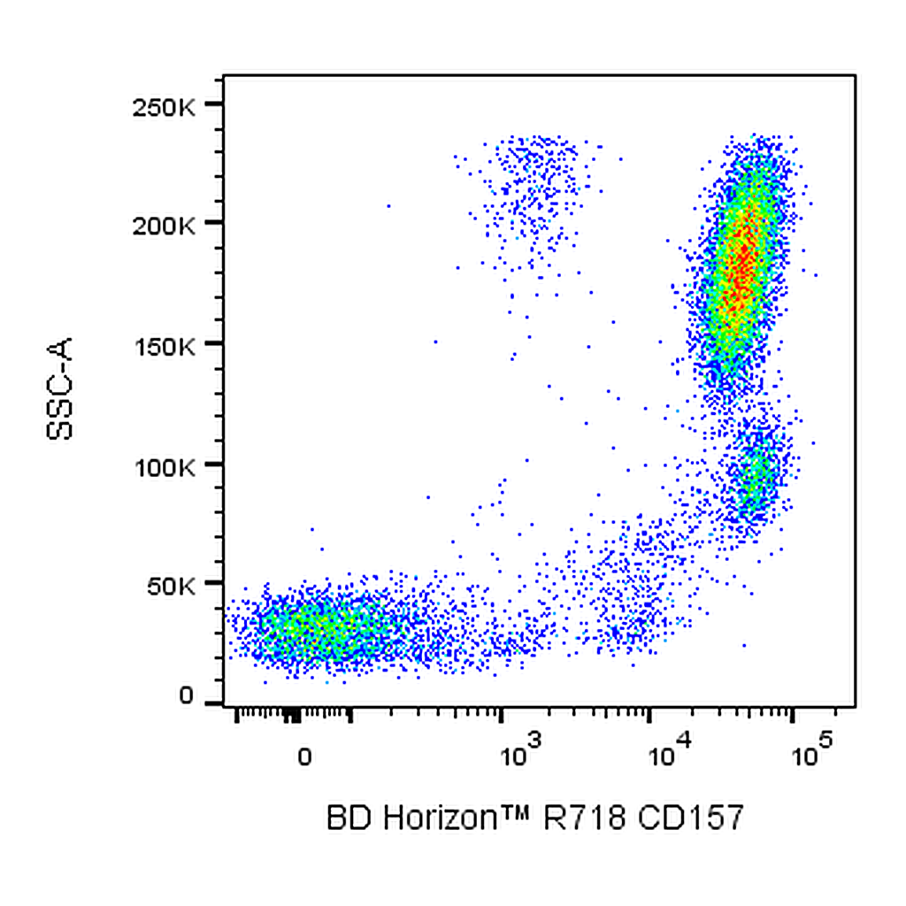 BD R718 Mouse Anti-Human CD157