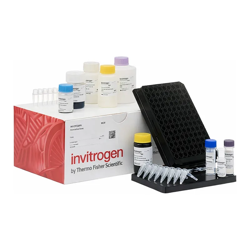 Thermo Fisher Scientific ProcartaPlex Human Angiogenesis Panel, 18plex