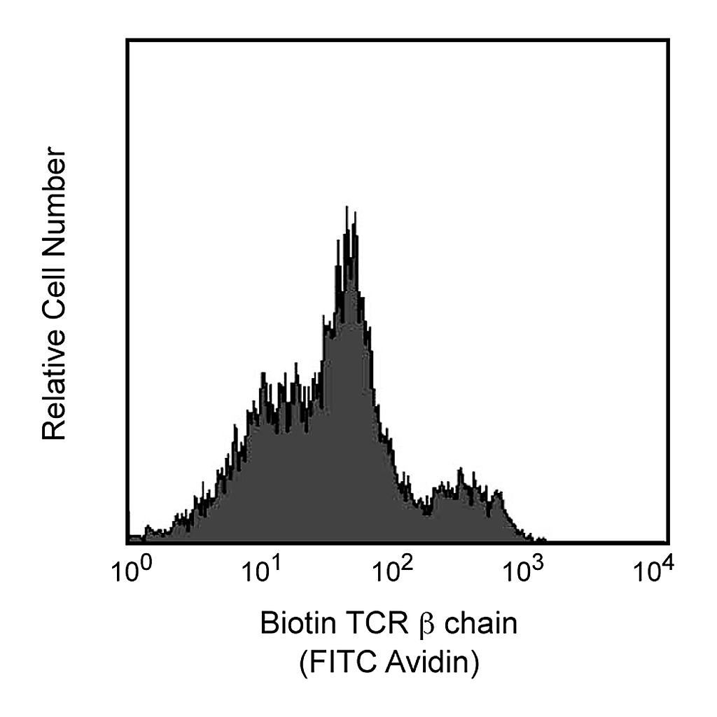 BD Biotin Hamster Anti-Mouse TCR β Chain