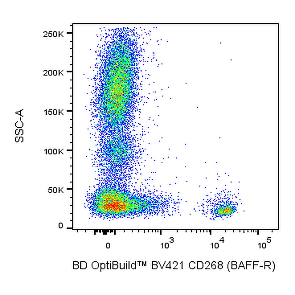 BD BV421 Mouse Anti-Human CD268 (BAFF Receptor)
