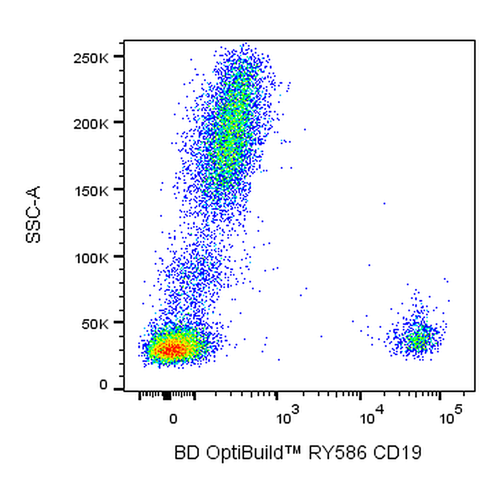 BD RY586 Mouse Anti-Human CD19