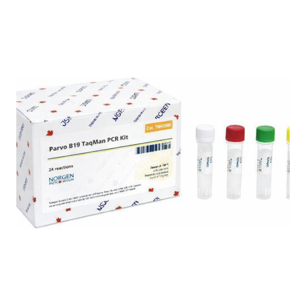 Norgen Parvo B19 TaqMan PCR Kit Dx