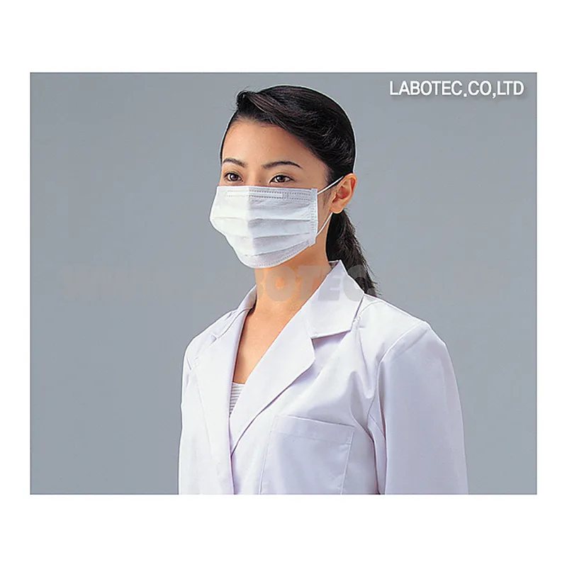 AS ONE 2Ply Disposable Mask, 2ply마스크(수지제 노즈그립)