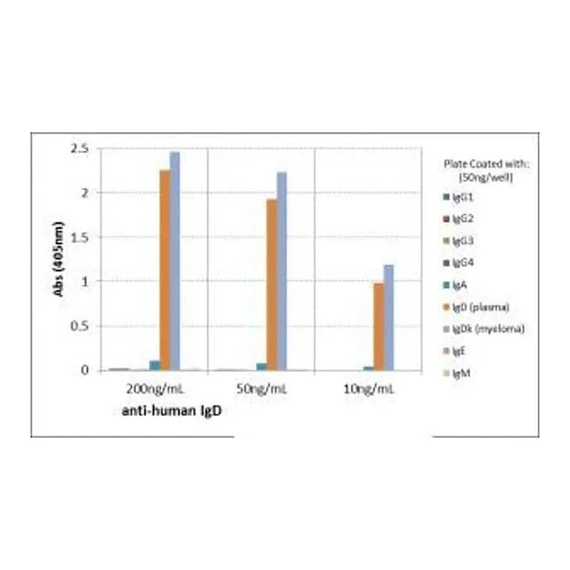 Thermo Fisher Scientific Rabbit anti-Human IgD Recombinant Secondary Antibody
