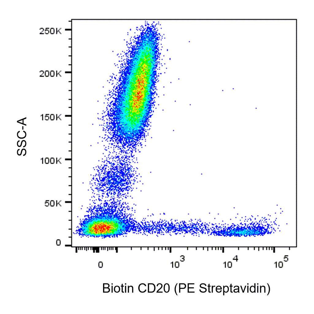 BD Biotin Mouse Anti-Human CD20