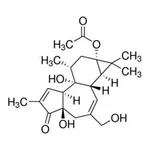 Merck PROSTRATIN