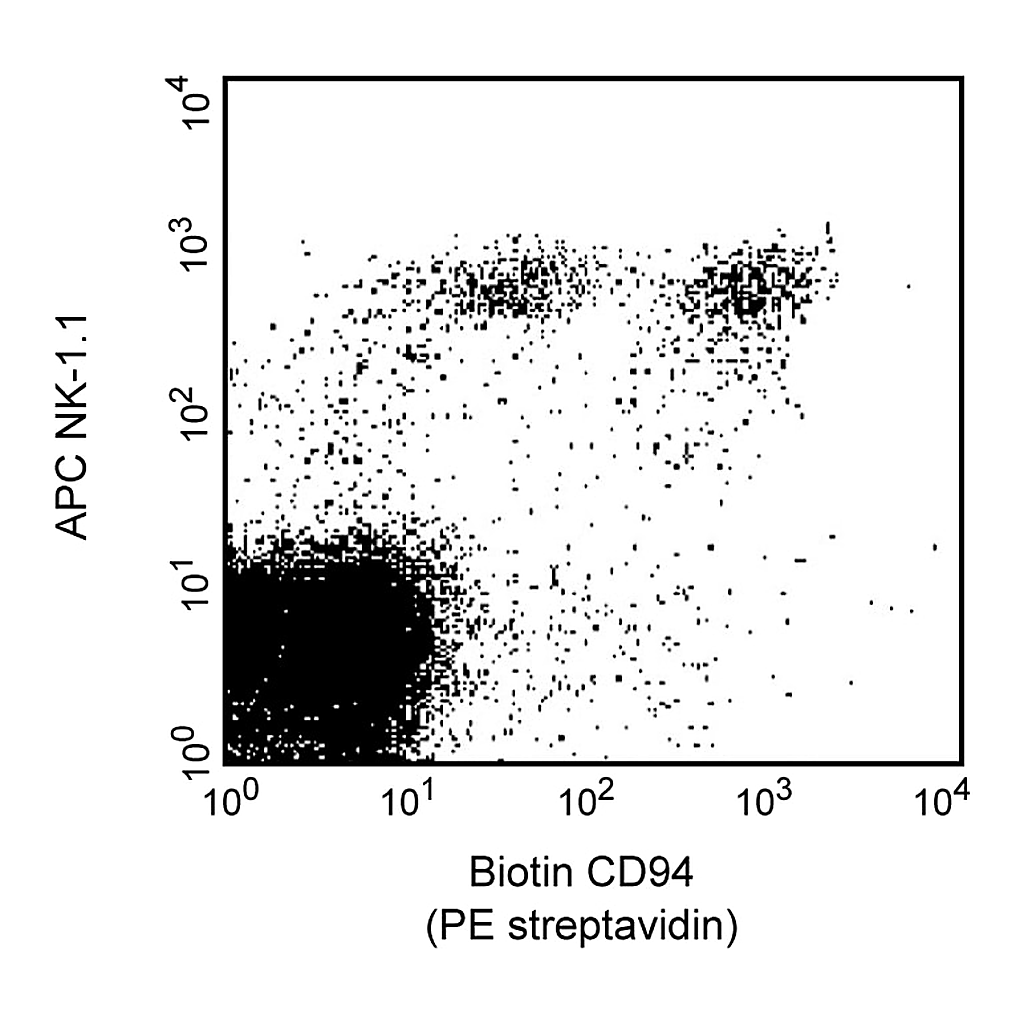 BD Biotin Rat Anti-Mouse CD94
