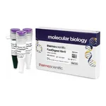 Thermo Fisher Scientific FastDigest Hin1I