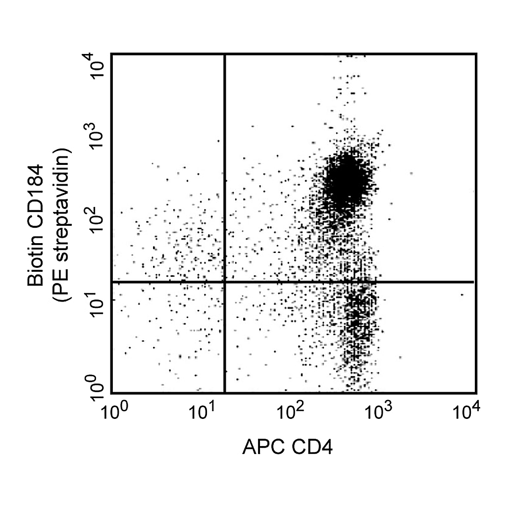 BD Biotin Rat Anti-Mouse CD184