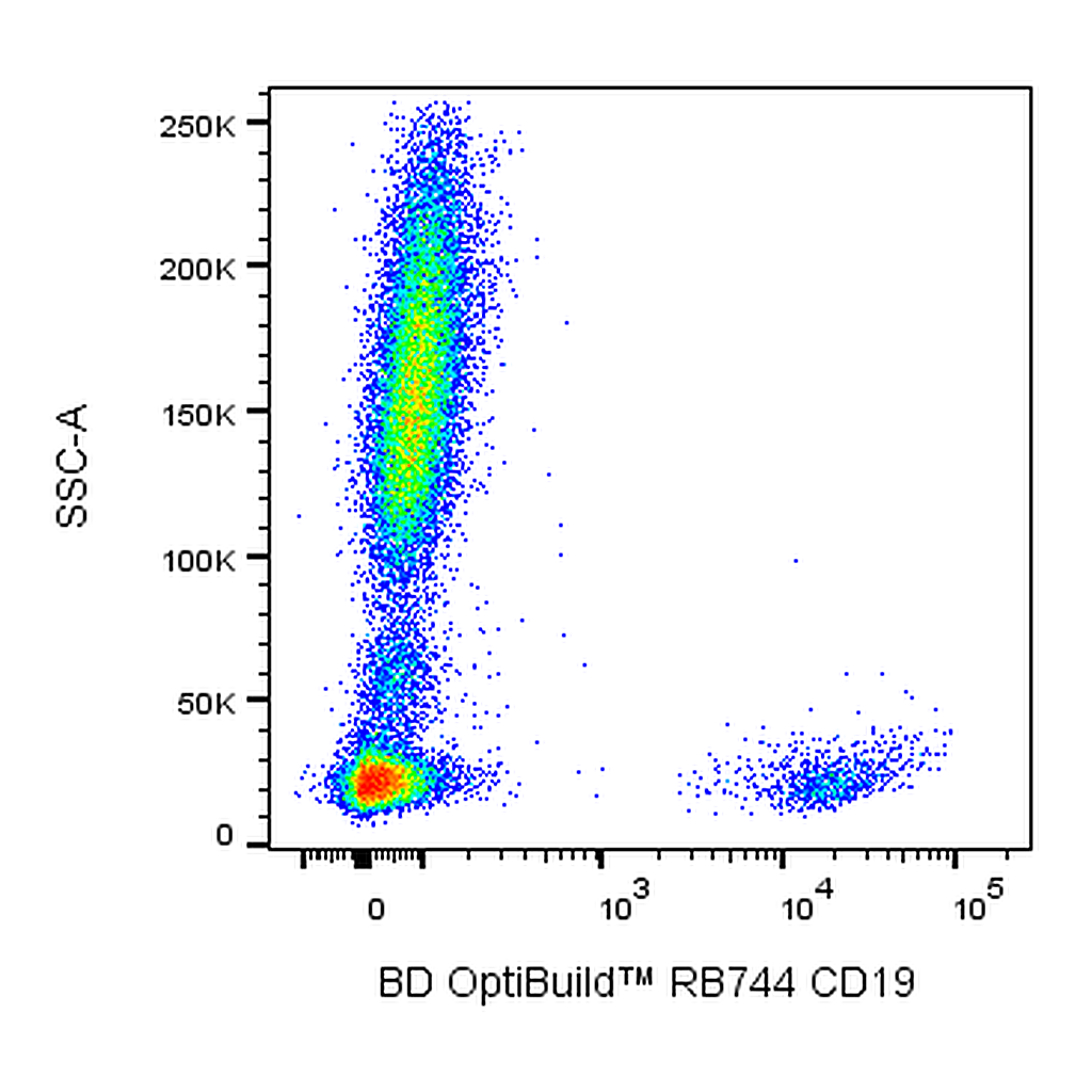 BD RB744 Mouse Anti-Human CD19