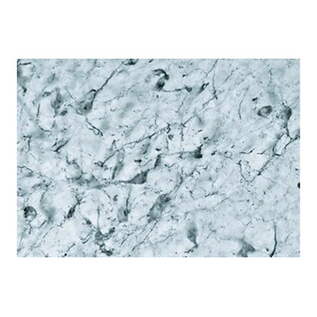 Merck ANTI-MCH, DEVELOPED IN RABBIT, IGG FRACT