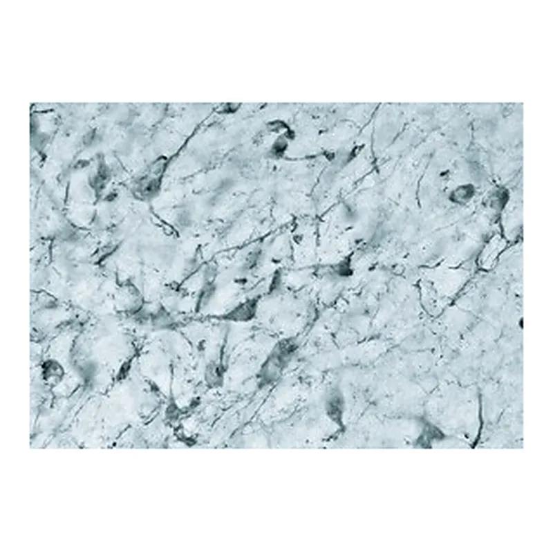 Merck ANTI-MCH, DEVELOPED IN RABBIT, IGG FRACT