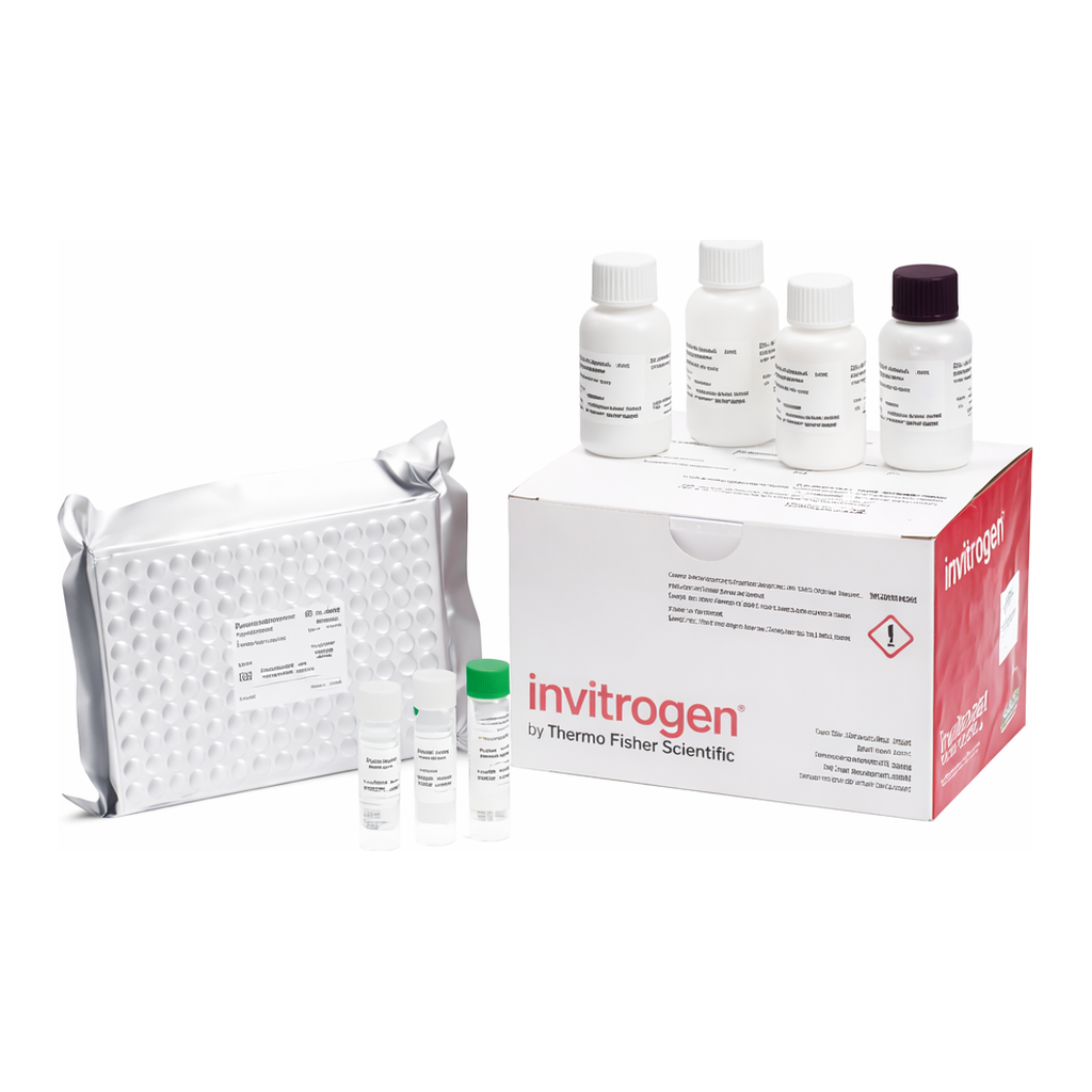 Thermo Fisher Scientific Human CEA Rapid ELISA Kit