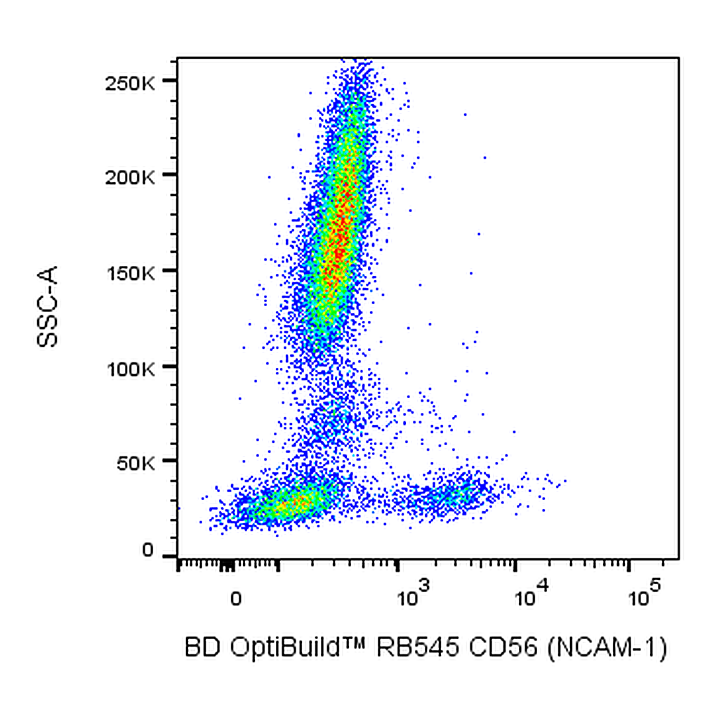 BD RB545 Mouse Anti-Human CD56