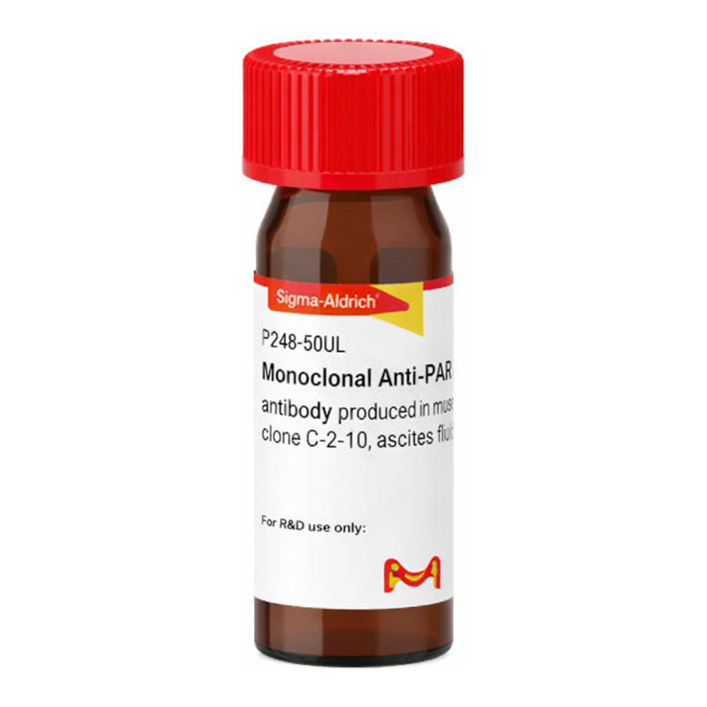 Merck Monoclonal Anti-PARP antibody produced in mouse