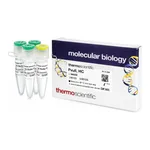 Thermo Fisher Scientific PvuII, HC (50 U/μL)