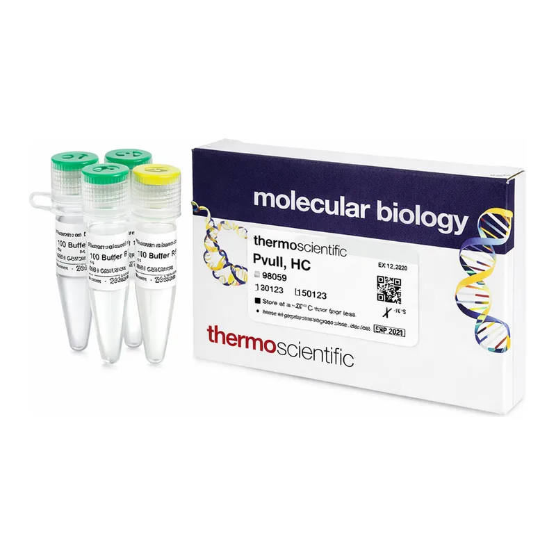 Thermo Fisher Scientific PvuII, HC (50 U/μL)