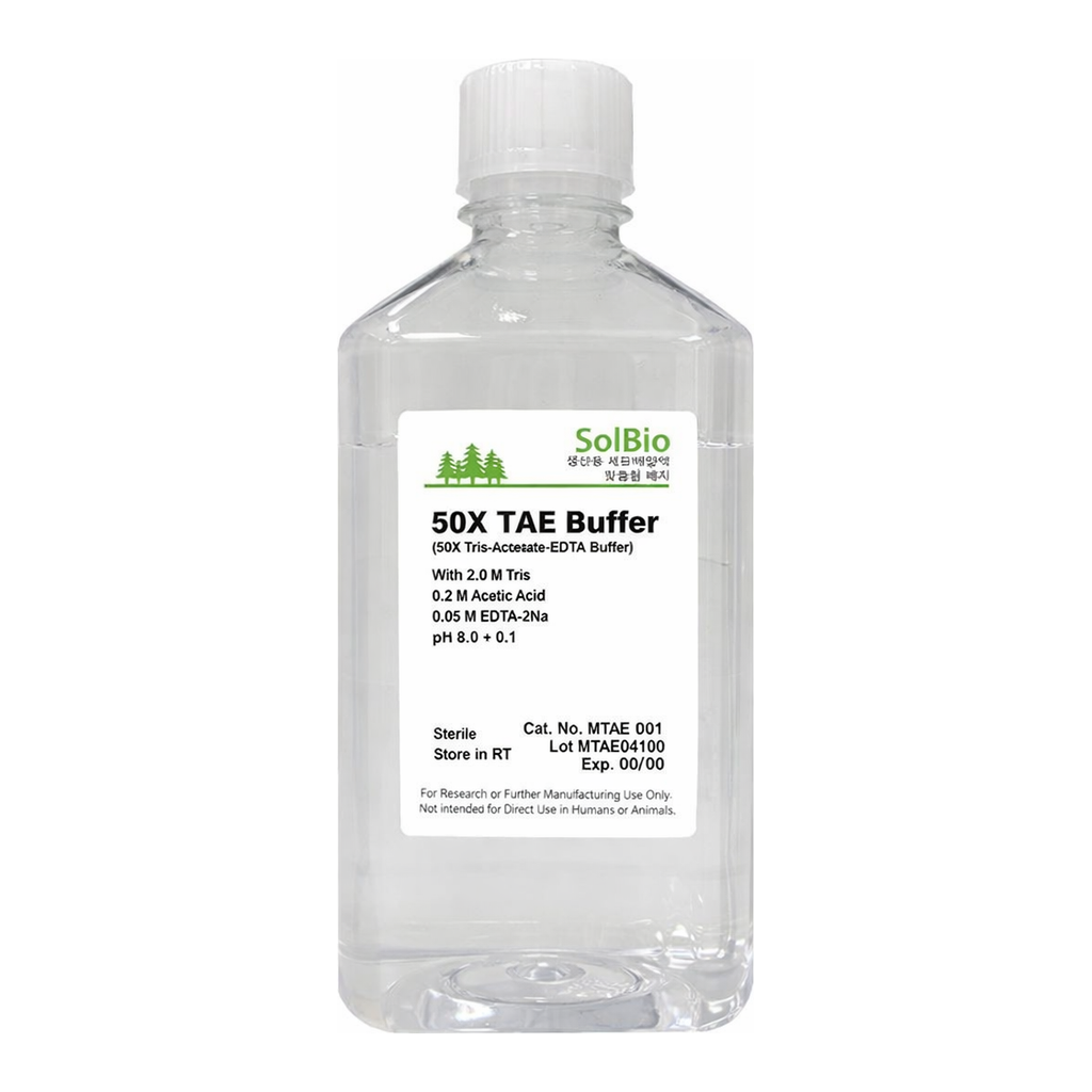 솔바이오팜 50X TAE Buffer
