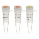 Thermo Fisher Scientific Bst1107I (BstZ17I) (10 U/μL)