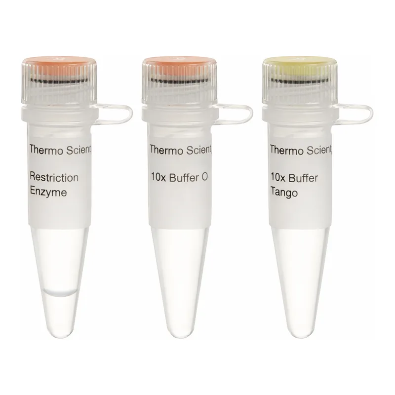 Thermo Fisher Scientific Bst1107I (BstZ17I) (10 U/μL)