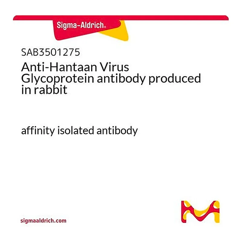 Merck Anti-Hantaan Virus Glycoprotein antibody produced in rabbit