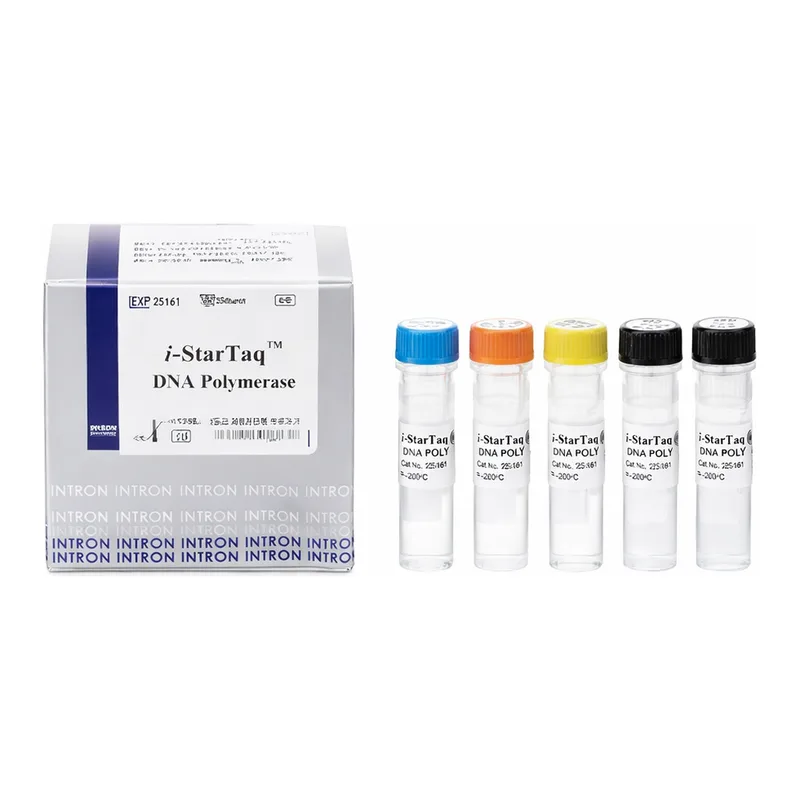 Intron i-StarTaq™ DNA Polymerase