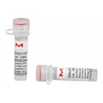 Merck MISSION(R) esiRNA