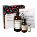 Thermo Fisher Scientific Pierce Phosphoprotein Phosphate Estimation Assay Kit