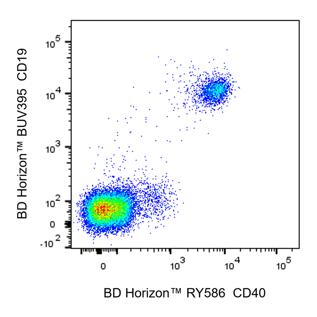 BD RY586 Mouse Anti-Human CD40