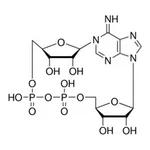 Merck CYCLIC ADENOSINE DIPHOSPHATE-RIBOSE