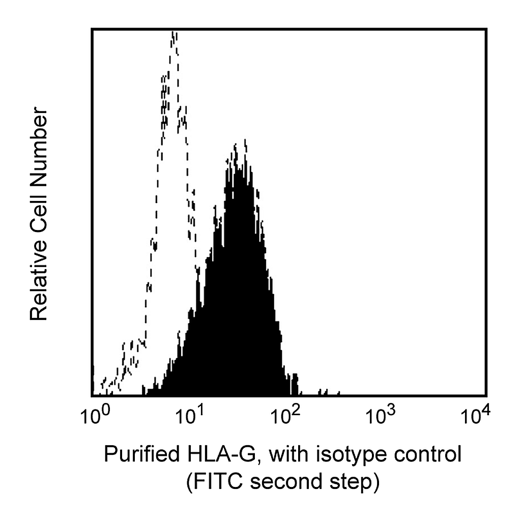 BD Purified Mouse Anti-human HLA-G Denatured