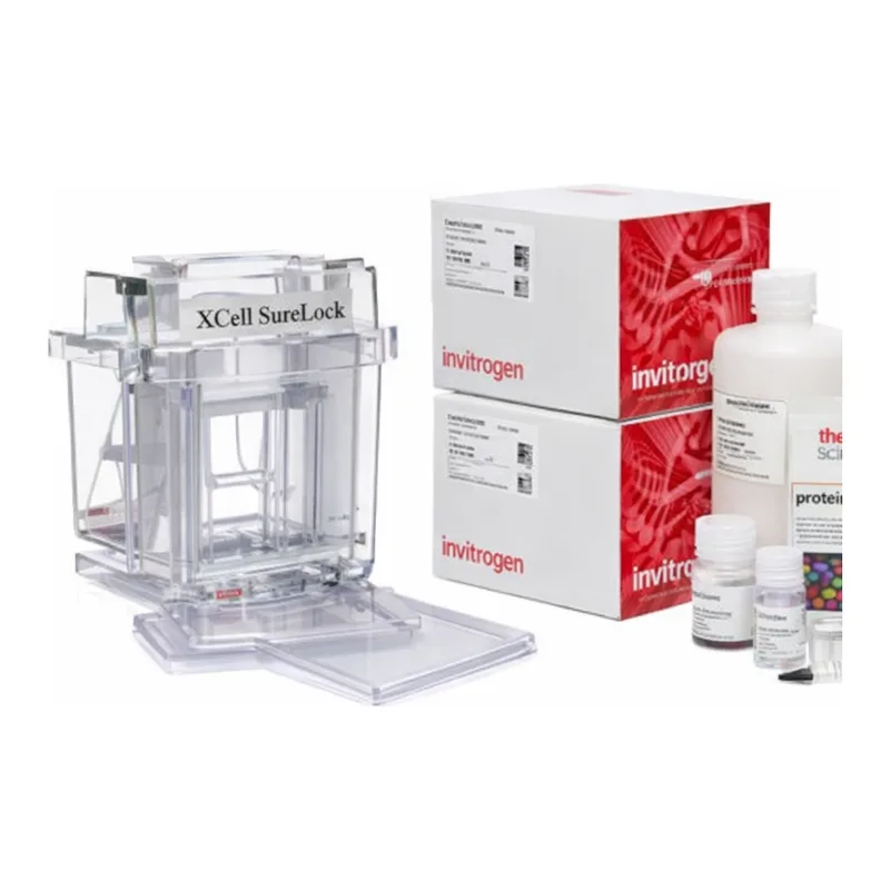 Thermo Fisher Scientific Novex Tricine XCell SureLock Mini-Cell Welcome Pack, 10-20%, 10-well