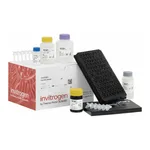 Thermo Fisher Scientific BLC (CXCL13) Mouse ProcartaPlex Simplex Kit