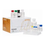 Thermo Fisher Scientific IL-4 Rat ELISA Kit
