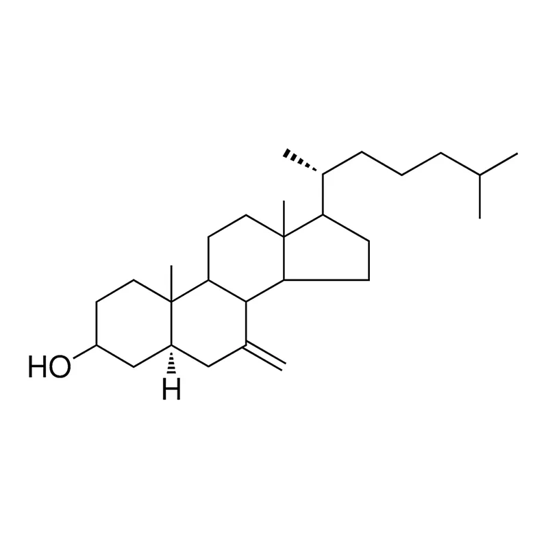 Merck 7-METHYLENE-5-ALPHA-CHOLESTAN- - 1 MG&