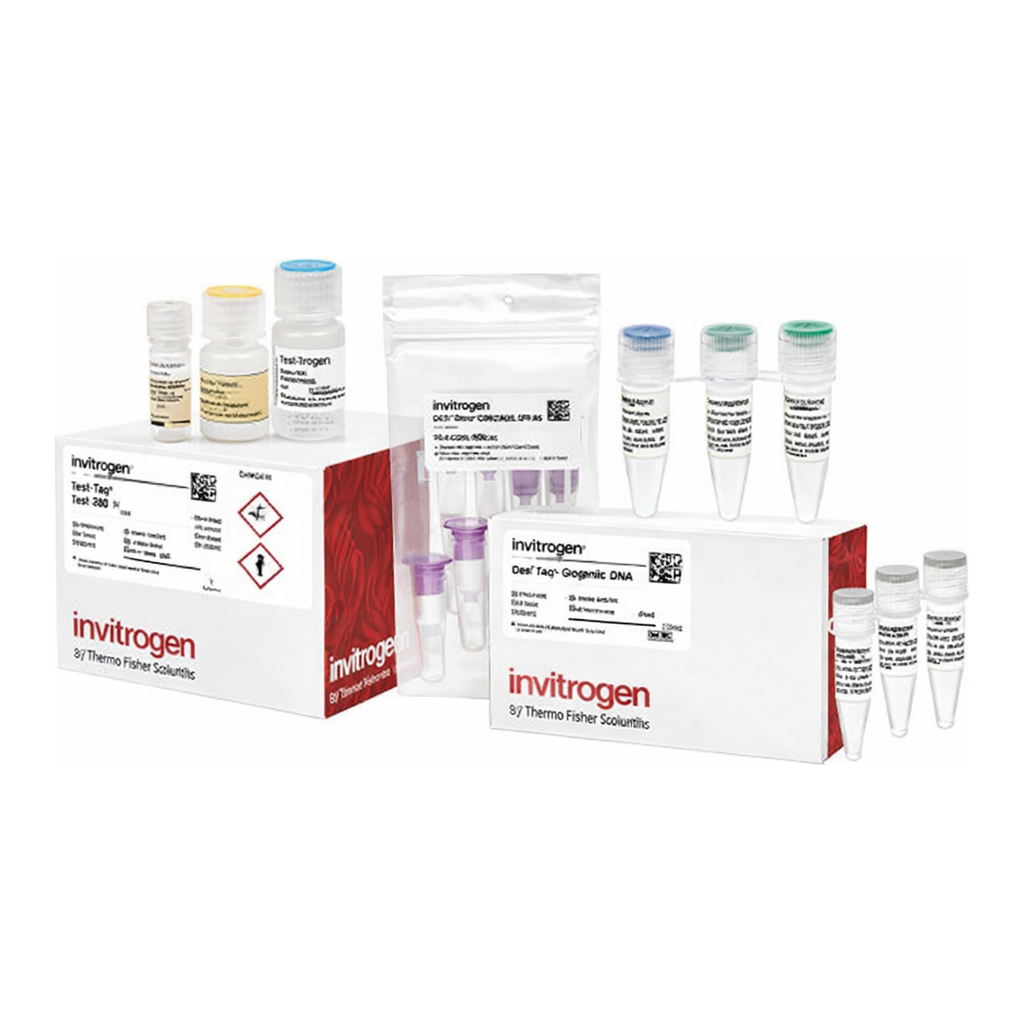 Thermo Fisher Scientific TrueTag Donor DNA Kit, GFP stem