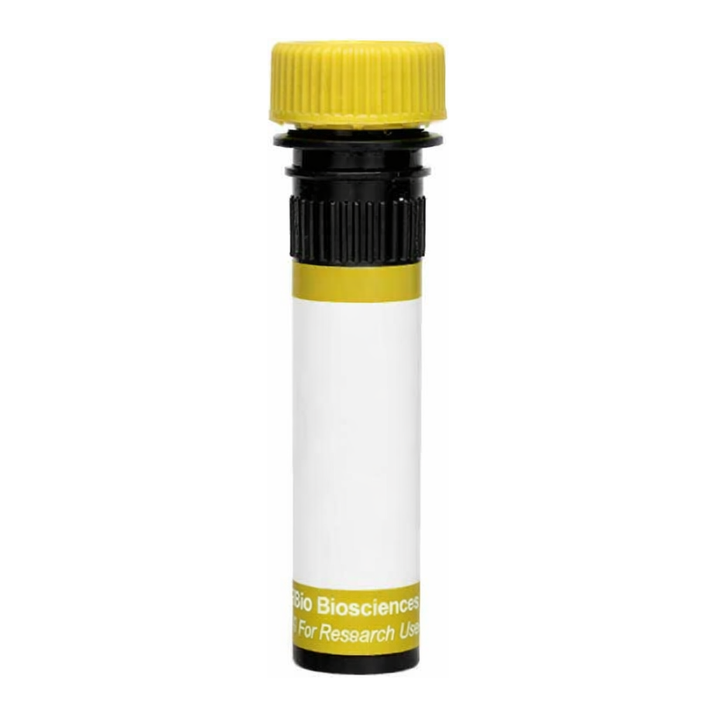 BD RY586 Biosimilar Anti-Human CD52