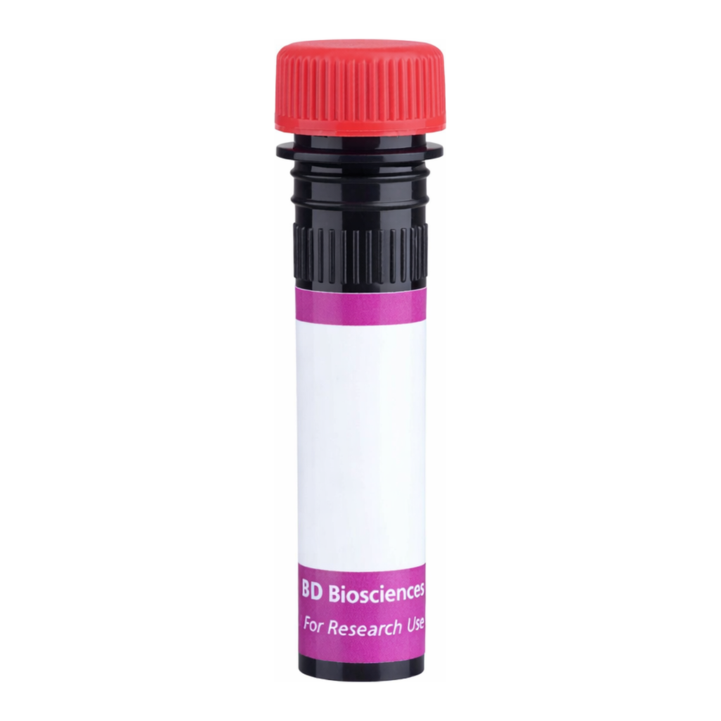 BD BV711 Hamster Anti-Mouse Vγ1.1 TCR