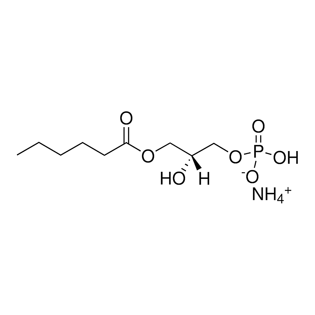 Merck 06:0 Lyso PA