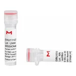 Merck MISSION(R) esiRNA