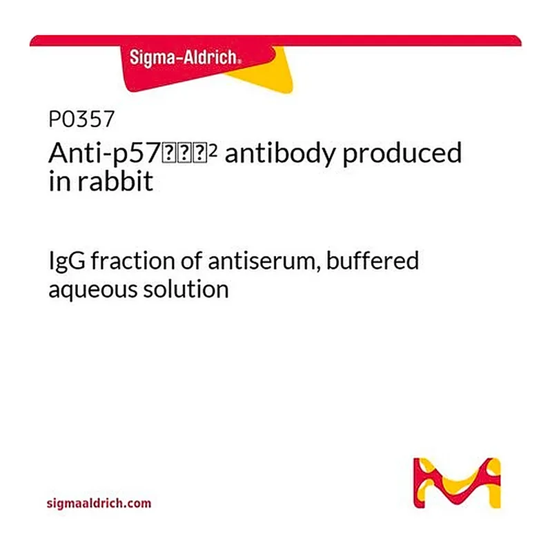 Merck Anti-p57Kip2 antibody produced in rabbit