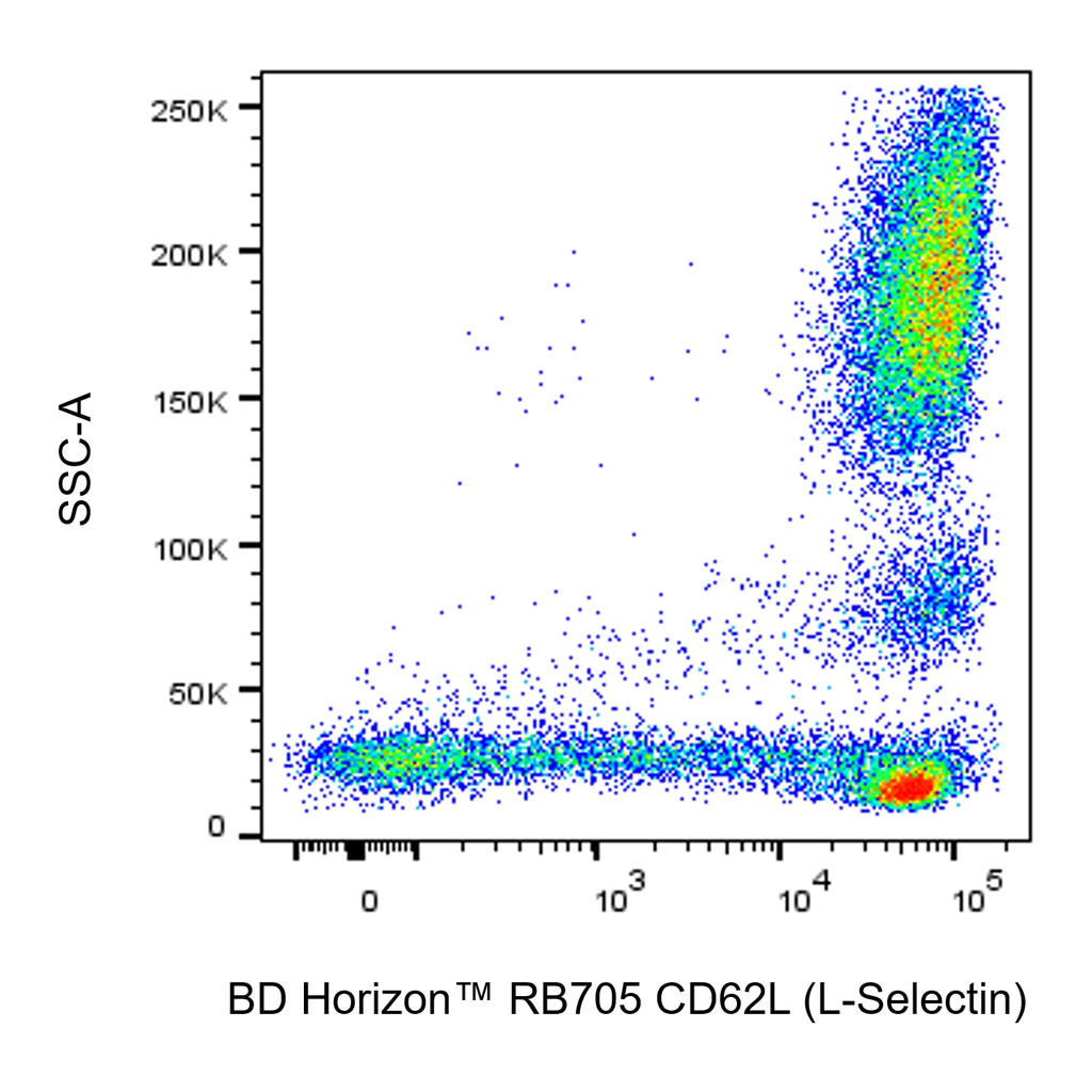 BD RB705 Mouse Anti-Human CD62L (L-Selectin)
