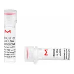 Merck MISSION(R) esiRNA